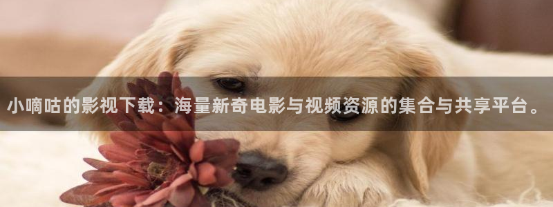 奇优影院官网