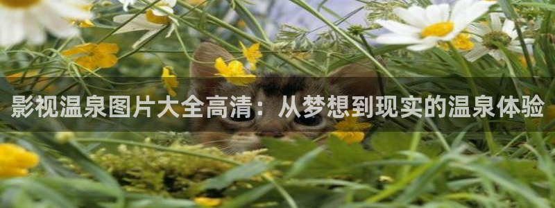 奇优影院旧版手机版高清电视剧