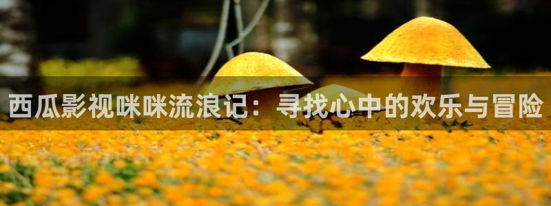 奇优影院手机免费看电视剧